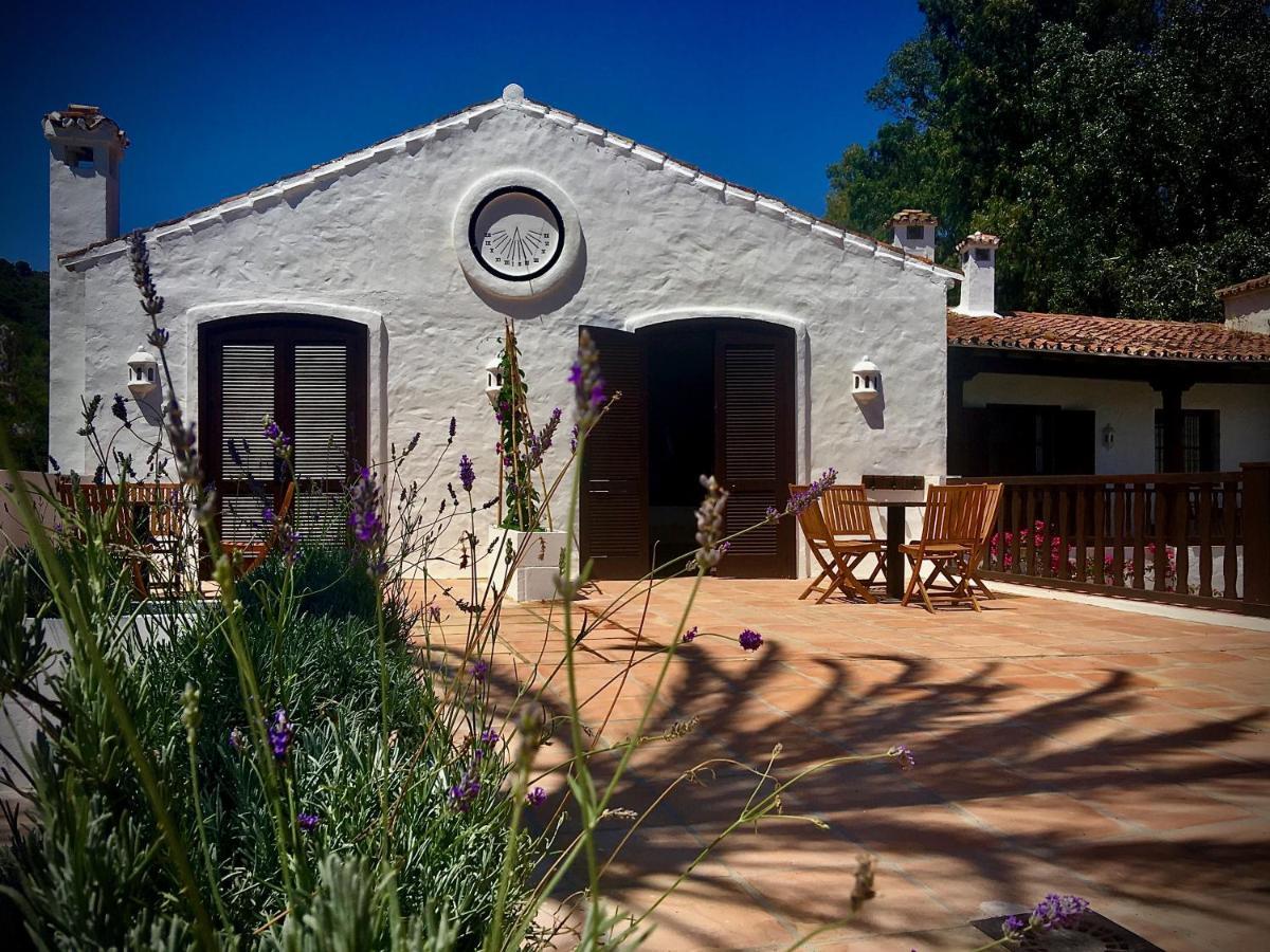 El Molino Estepona Exteriör bild