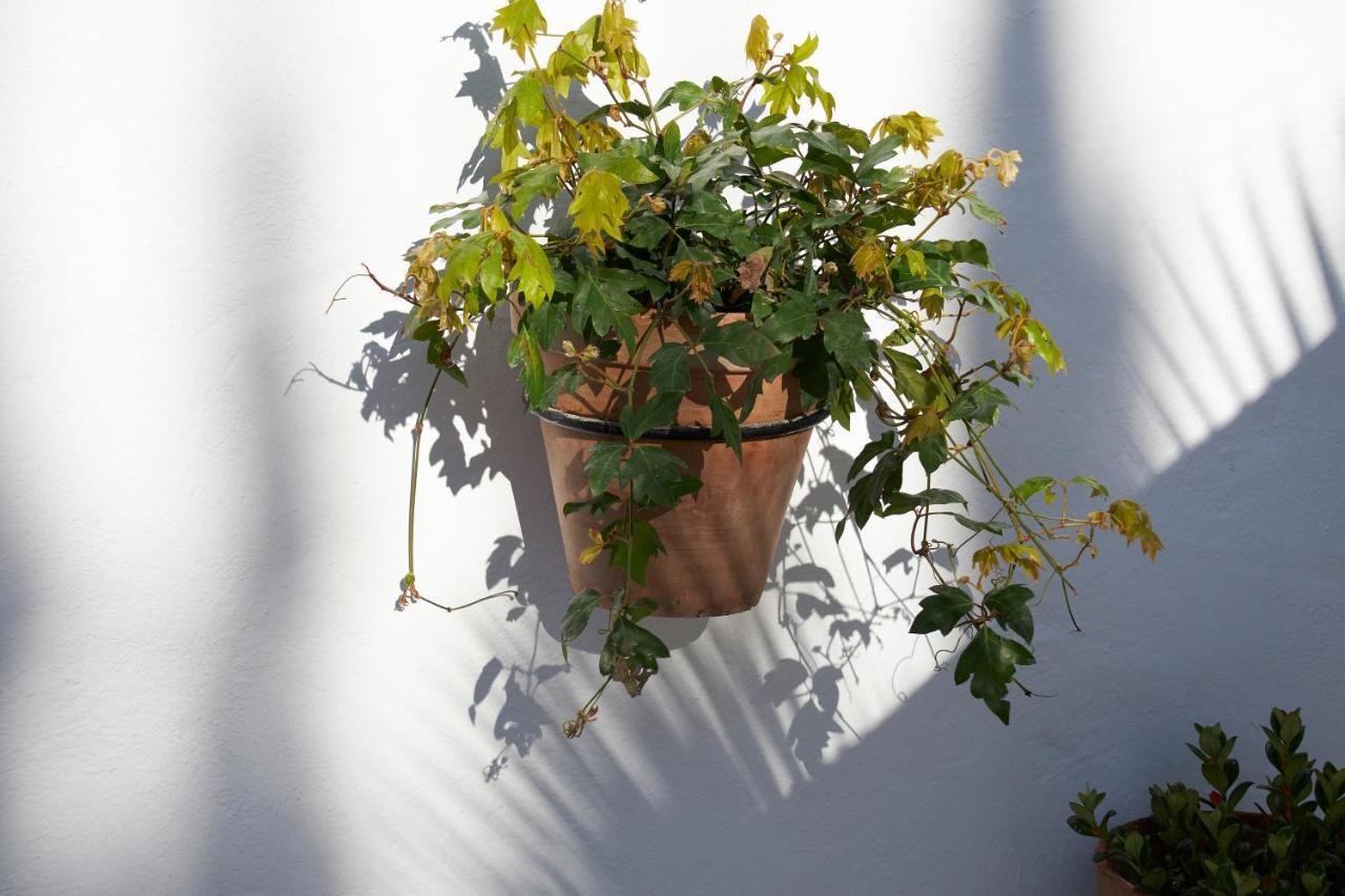 El Molino Estepona Exteriör bild