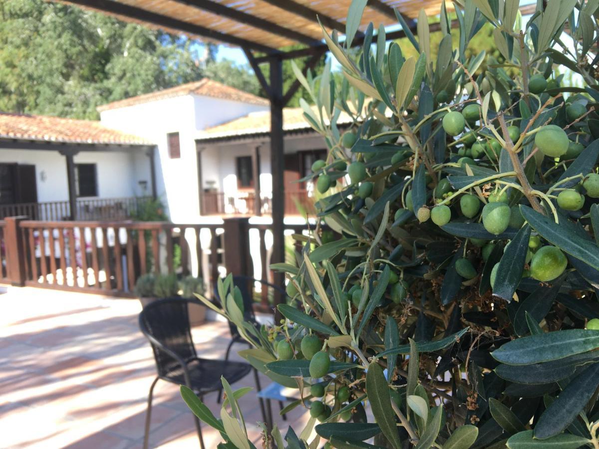 El Molino Estepona Exteriör bild