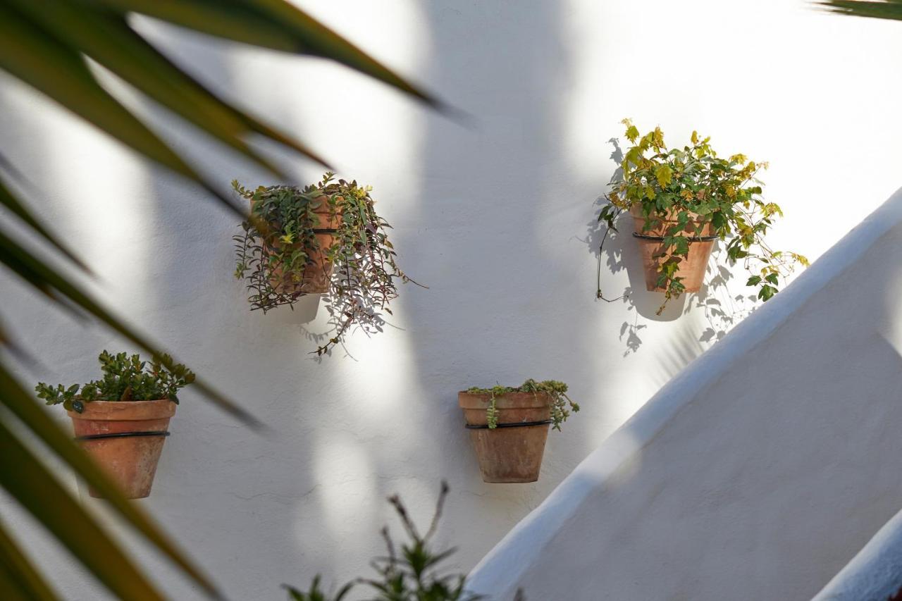El Molino Estepona Exteriör bild
